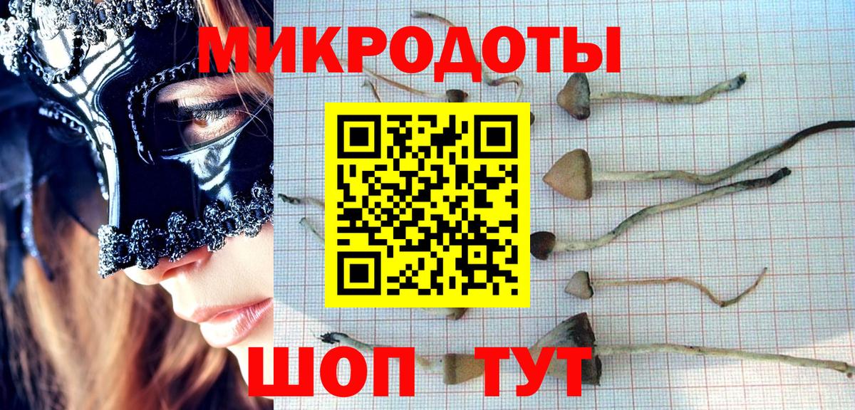 Псилоцибиновые грибы мухоморы Малгобек