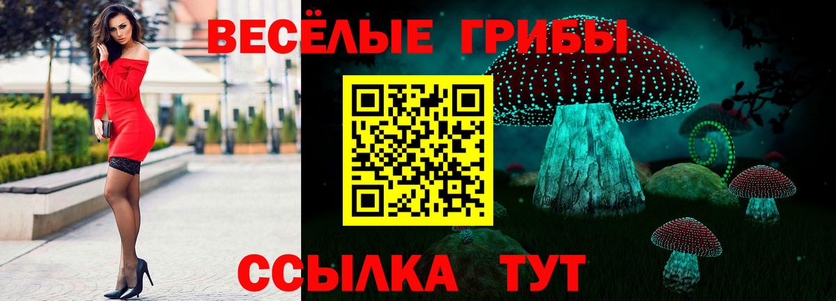 Псилоцибиновые грибы Psilocybine cubensis  Вход с VPN  Псилоцибиновые грибы Cubensis  Малгобек 